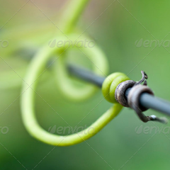 免费用虚拟号码发短信