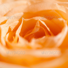 迷你轰炸机平台