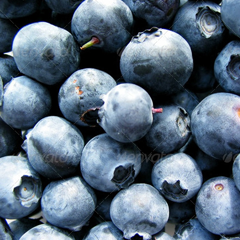 无限拨打手机号软件