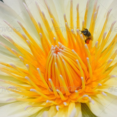 轰炸手机号信息软件免费版