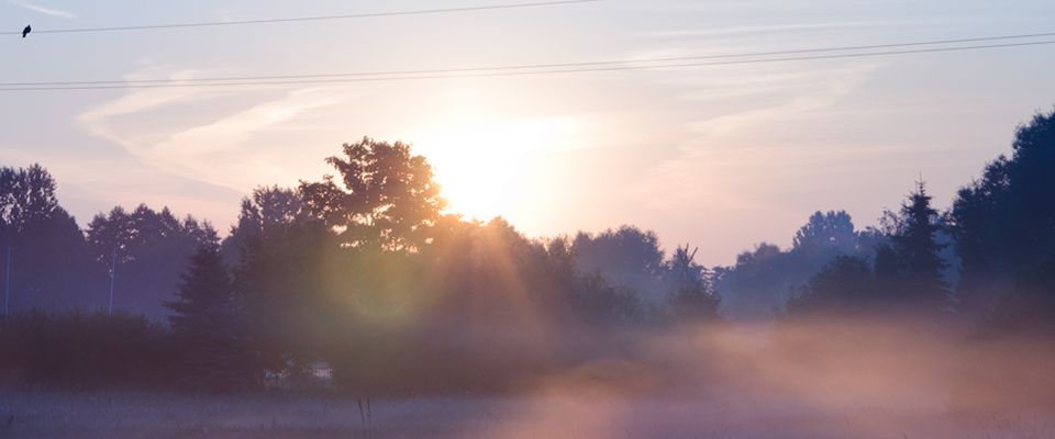 短信验证码轰炸网址免费