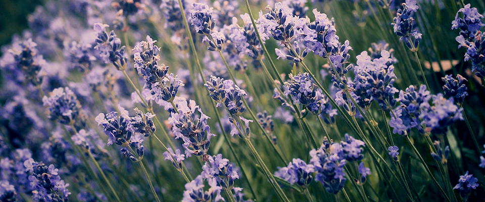 无限拨打手机号软件